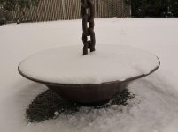 snowy rc.jpg