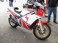 IMG_2033.JPG.jpeg