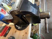 IMG_6399.jpeg