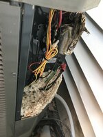 IMG_1419.jpeg IMG_1419.jpeg