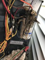 IMG_1426.jpeg IMG_1426.jpeg