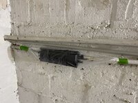 IMG_3940.jpeg