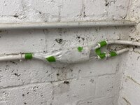IMG_3941.jpeg
