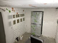 IMG_3981.jpeg
