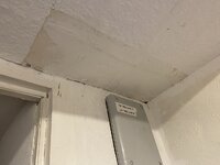 IMG_4269.jpeg