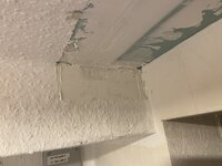 IMG_4272.jpeg