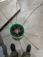IMG_1853.jpeg IMG_1853.jpeg