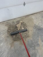IMG_3275.jpeg