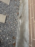 IMG_1305.jpeg