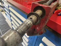 IMG_3490.jpeg