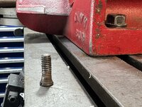 IMG_3527.jpeg
