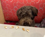 thumbnail_IMG_2654.jpg