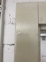 IMG_4388.jpeg