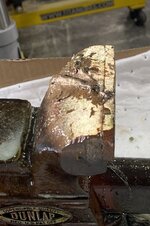 IMG_1647.jpeg