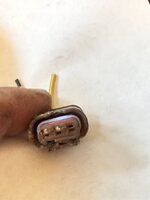 IMG_3941.jpeg