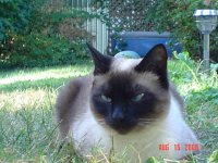 DSC00737.JPG