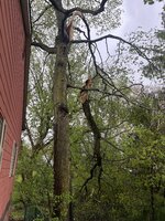 IMG_6711.jpeg IMG_6711.jpeg