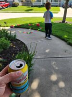 yard.jpg
