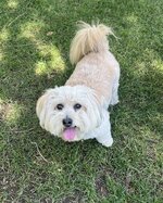 IMG_4902.jpeg
