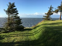 IMG_6147.jpeg