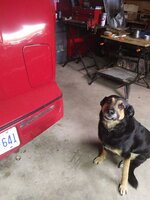 buddy.jpg