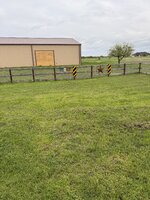 IMG_7625.jpeg