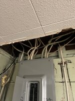IMG_6782.jpeg IMG_6782.jpeg