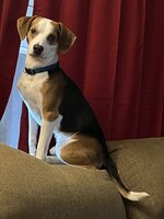 IMG_6292.jpeg
