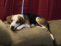 IMG_6295.jpeg