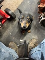 IMG_6123.jpeg