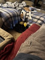 IMG_6127.jpeg