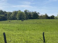 IMG_7447.jpeg