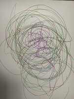 IMG_9867.jpeg