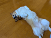 1747002619591.png