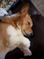 1747002766655.png