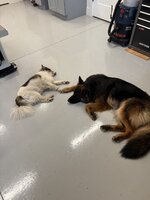 IMG_5121.jpeg