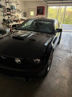 IMG_2284.jpeg