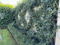 IMG-5299.jpg