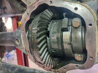 jeep4.jpg jeep4.jpg