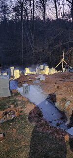 20250301_183143[1].jpg