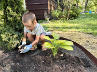 IMG-1134.jpg IMG-1134.jpg