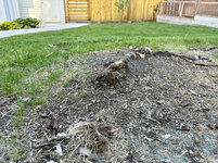 IMG-1119.jpg IMG-1119.jpg