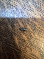 IMG_2695.jpeg