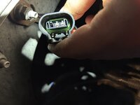 IMG_2993.jpeg IMG_2993.jpeg