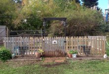 garden progress.jpg