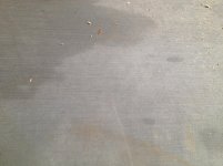 IMG_0349.jpg