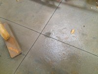 IMG_0366.jpg