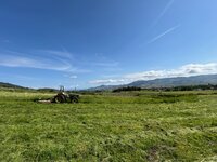 IMG_1388.jpg