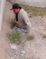 1747715753740.png 1747715753740.png