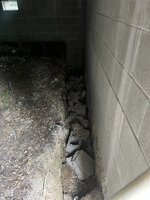IMG_6950.jpeg IMG_6950.jpeg